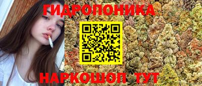 гидра Балашиха