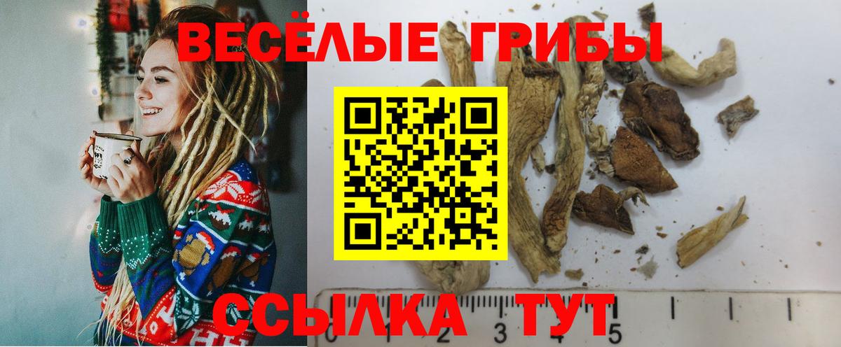 Губкин  Галлюциногенные грибы мухоморы  Вход с VPN 